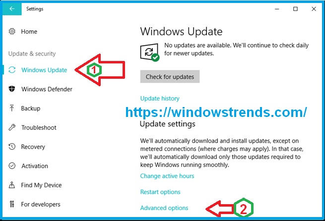 Windows Update’s advanced options